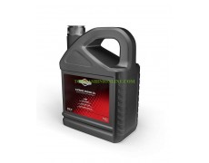 Масло четиритактово Briggs and Stratton SAE30 5 литра thumbnail image